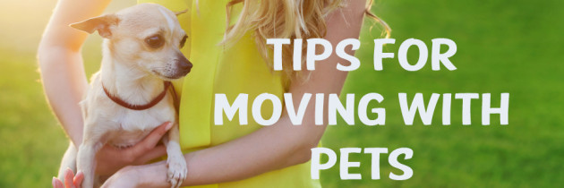 Moving Tips for Homeowners with Pets